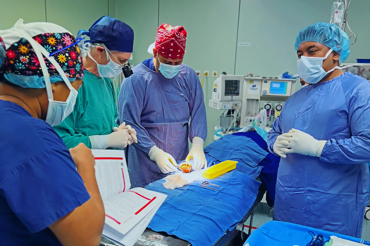 A team of four people in surgical scrubs stand around an anesthetised patient. One person reads from a multi-page document.